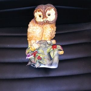 Elf Owl by ANDREA (#8479)